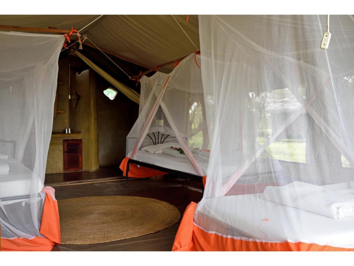 Ikoma Bush Camp Robanda Exteriér fotografie